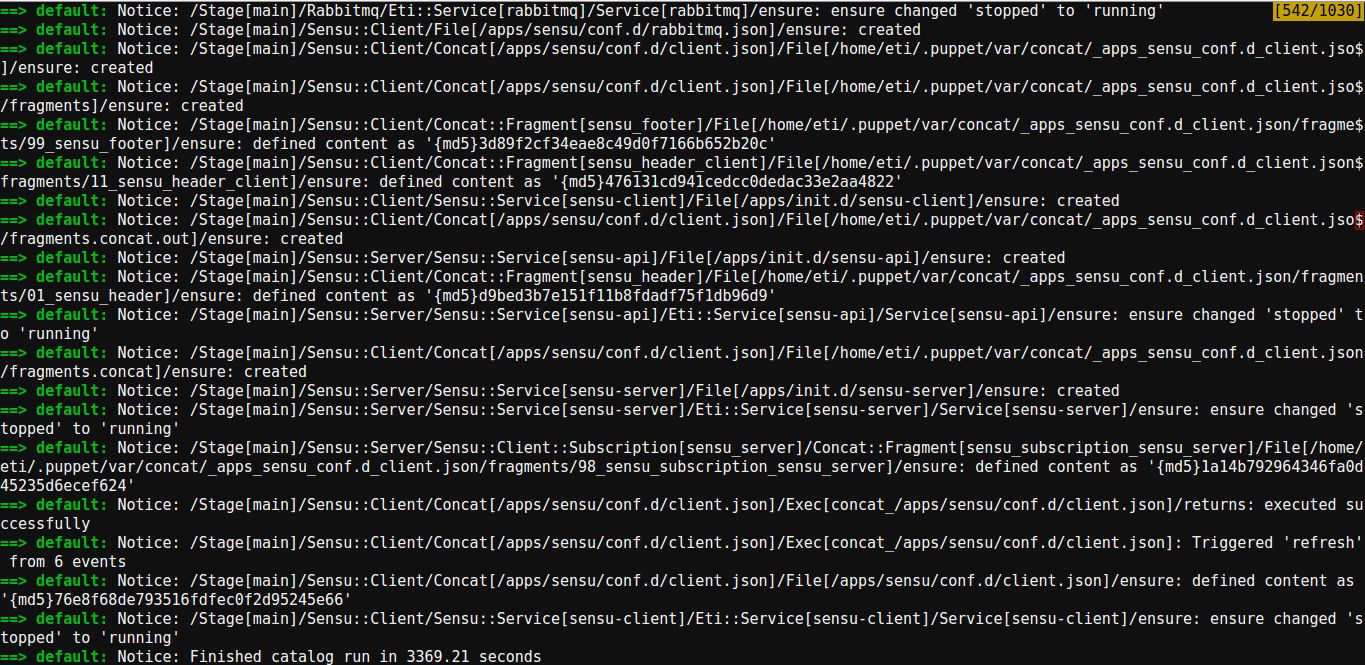 screenshot of puppet cli output