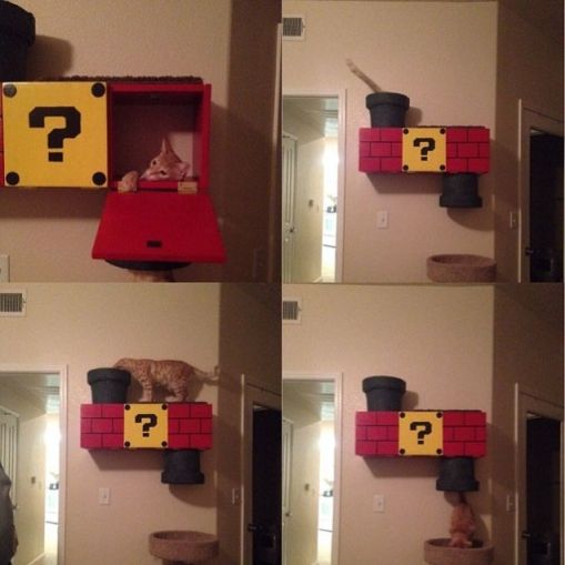 photo of a cat on a mario themed cat tree on the wall with a number of mario style pipes